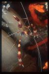 Shrimp, Coral Banded (red) 02