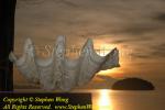 Giant Clam, 05 at Jetty 01c RA0607 sunrise Stephen WONG 010109