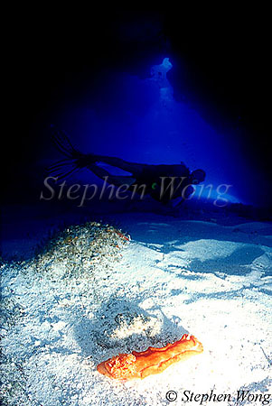 Caves 06 Spanish Dancer & diver