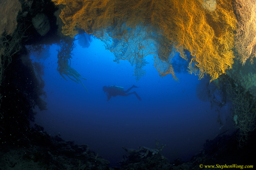 Cave 03 & Fans 090106