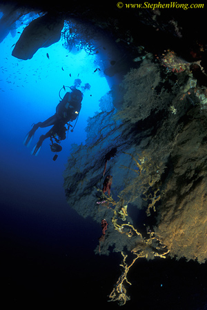 Cave 05 & Fans 090106