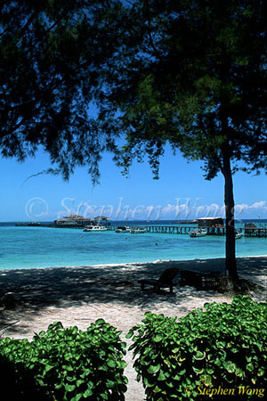 Derawan Resort & Jetty 01 080103