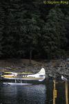 Sea Gull & Water Plane 01, Vancouver Is 110103