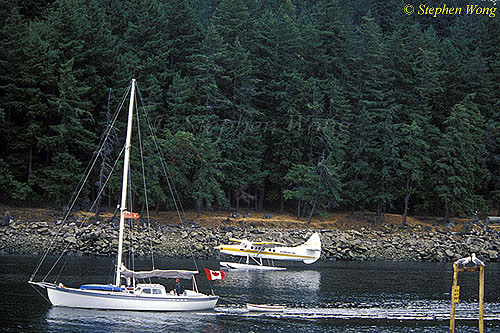 Sea Gull & Water Plane & Boat 01, Vancouver Is 110103