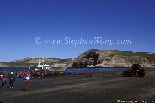 Whale watchers & boat launch 01 copy