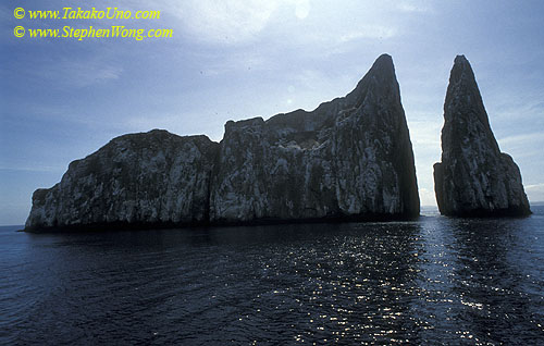 z Kicker's Rock 110104