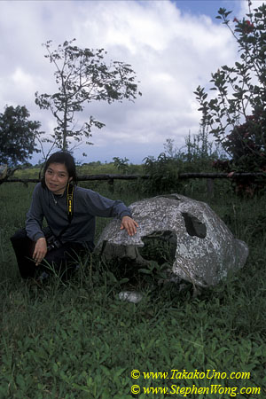 z Takako  & Galapagos Tortoise shell 110104