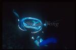 Manta Rays 104 & diver open mouth feeding