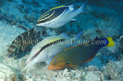 The Hunting Party,02