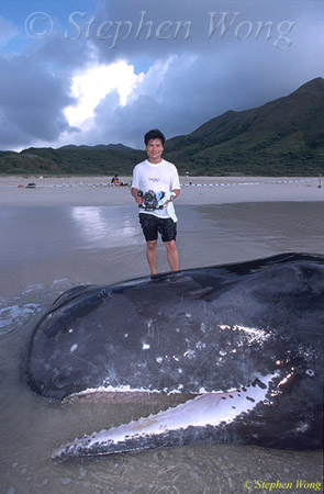 Sperm Whales 127 & Tommy Hong Kong 080803