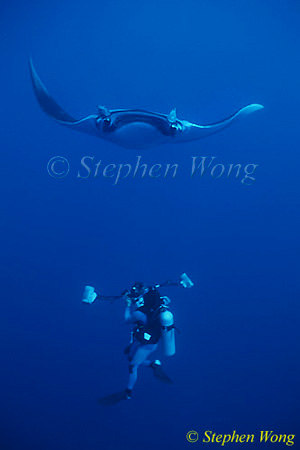 Manta Rays 116, 050703